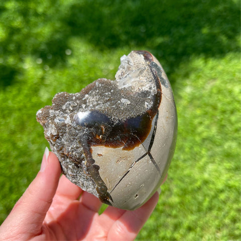 septarian calcite crystal raw geode