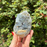 Celestite Geode Egg B