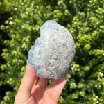 Celestite Geode Freeform