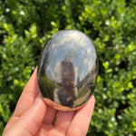 Pyrite + Golden Healer Palm Stone P