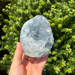 Celestite Geode Freeform