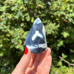 Orca Agate Flame H
