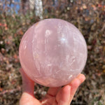 XL 3lb Rose Quartz Sphere