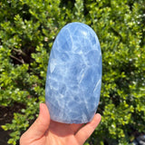 Blue Calcite Freeform
