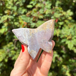 Ocean Jasper Butterfly Carving B