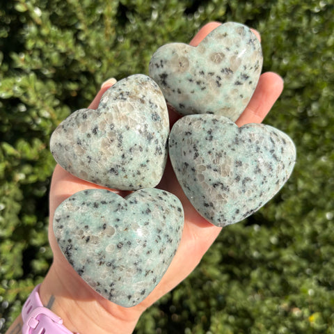 Kiwi Jasper Hearts