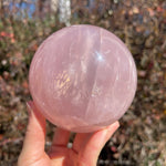 XL 3lb Rose Quartz Sphere