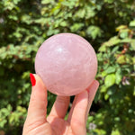 Star Rose Quartz Spheres