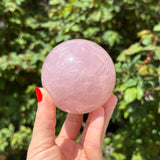 Star Rose Quartz Spheres