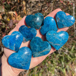 Vibrant Blue Apatite Hearts