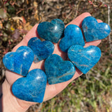 Vibrant Blue Apatite Hearts