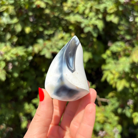 Orca Agate Flame J