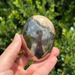 Pyrite + Golden Healer Palm Stone M
