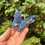 Sodalite Butterfly Carving