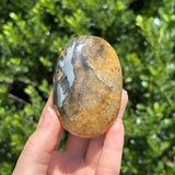 Golden Healer + Pyrite Palm Stone F