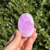 Pink Aragonite Palm Stone G