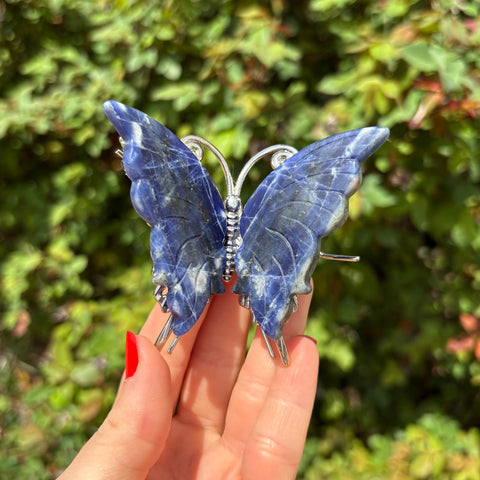 Sodalite Butterfly Carving
