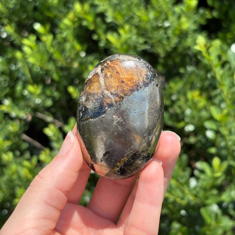 Pyrite + Golden Healer Palm Stone G