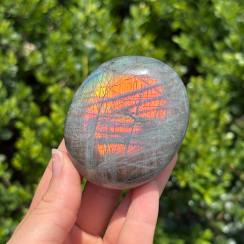 Rainbow Labradorite Palm Stone B