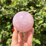 Star Rose Quartz Spheres