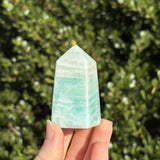 Caribbean Calcite Tower F