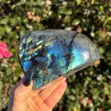 Blue Labradorite Freeform B