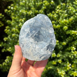 Celestite Geode Freeform