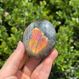 Rainbow Labradorite Palm Stone C