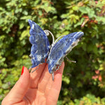 Sodalite Butterfly Carving