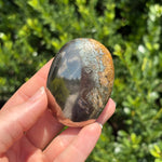 Pyrite + Golden Healer Palm Stone K