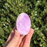 Pink Aragonite Palm Stone G