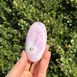 Pink Aragonite Palm Stone A