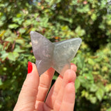 Fluorite Butterfly Carving D
