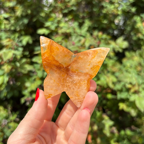 Golden Healer Butterfly Carving A