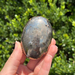 Pyrite + Golden Healer Palm Stone O