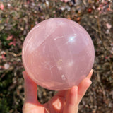 XL 3lb Rose Quartz Sphere
