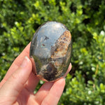 Pyrite + Golden Healer Palm Stone O