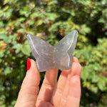 Fluorite Butterfly Carving D