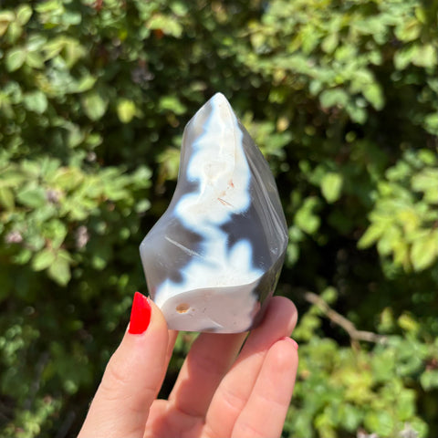 Orca Agate Flame F