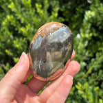 Pyrite + Golden Healer Palm Stone L