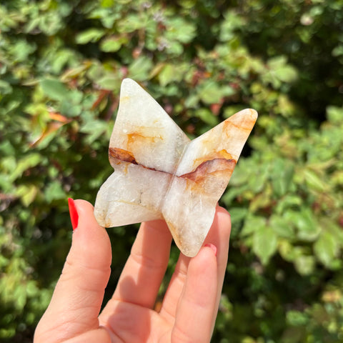 Golden Healer Butterfly Carving B