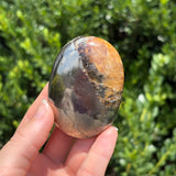 Pyrite + Golden Healer Palm Stone L