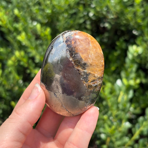 Pyrite + Golden Healer Palm Stone L