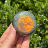Rainbow Labradorite Palm Stone E