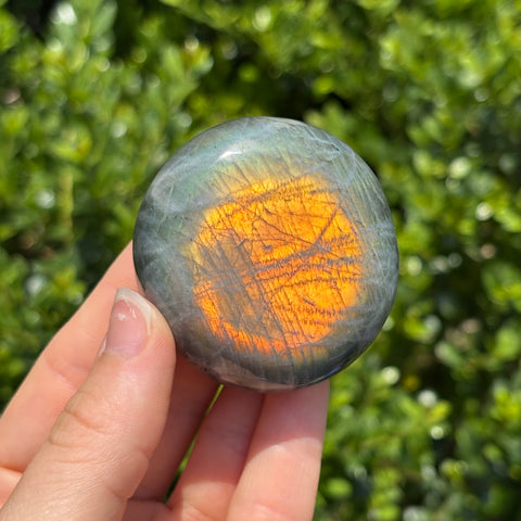 Rainbow Labradorite Palm Stone E