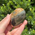 Pyrite + Golden Healer Palm Stone K