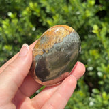Pyrite + Golden Healer Palm Stone K