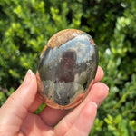 Pyrite + Golden Healer Palm Stone L