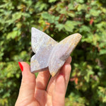 Ocean Jasper Butterfly Carving B