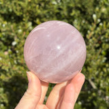 Shimmery Star Rose Quartz Sphere C